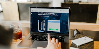 2. Revenue Diversification